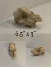 Animal Skull