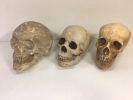 Skulls - Mystical/Occult 