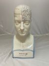 Phrenology Bust