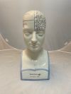 Phrenology Bust