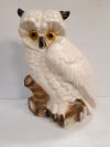 Owl Statue