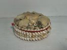 Seashell Trinket Box