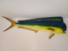 Saltwater - Mahi Mahi / Delphine