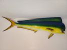 Fish - Mahi Mahi/Delphine