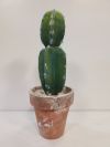 Fake Plant - Cactus
