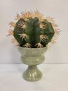 Fake Plant - Cactus
