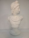 Bust - Grecian/Roman Man 