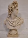 Bust - Grecian/Roman Man