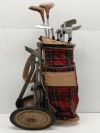 Golf Caddy