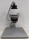 Dark room photo light
