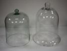 Glass Cloches