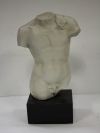 Statue - Male Torso