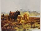 Landscape - Ox