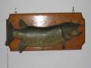 Pike