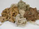 Fishing Nets
