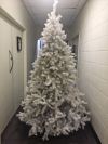 Christmas Tree, White